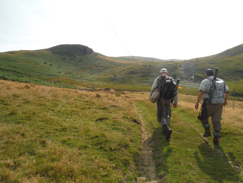 The road to Llyn Gynon